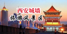 寡妇j8又粗又大中国陕西-西安城墙旅游风景区