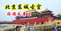 色色羞www中国北京-东城古宫旅游风景区